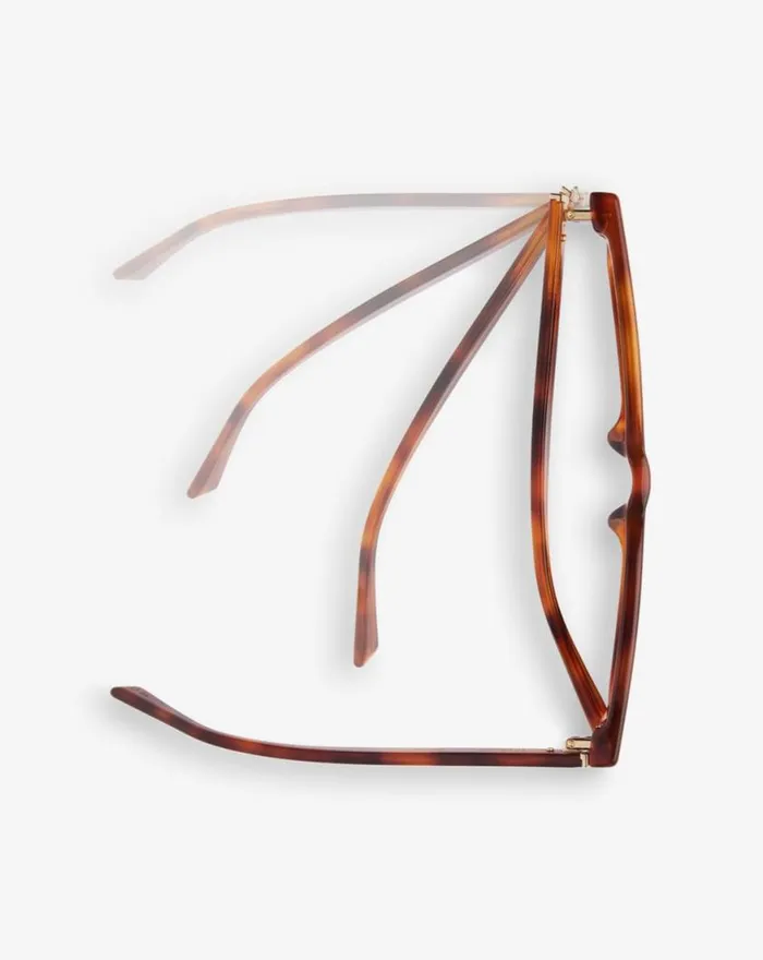 Accessories SEACLIFF SUNGLASSES Light Tort Bronze Polar TravisMathew Sunglasses
