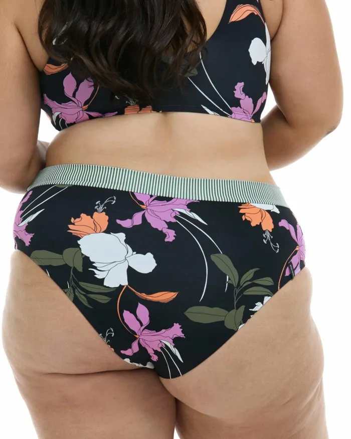 Body Glove Plus Size Swimwear Dreamy Marlee Plus Size HighWaist Bikini Bottom 8211 Black Dreamy 8211 Women