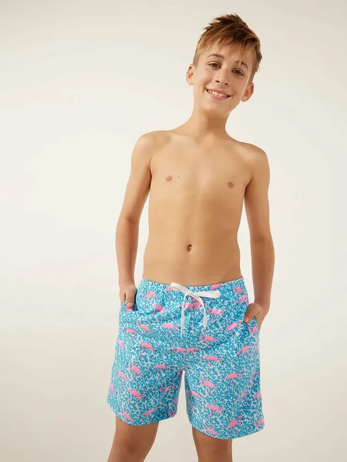 Chubbies Boys XsXl Swim The Domingos Are For Flamingos Blue Spot With Flamingos