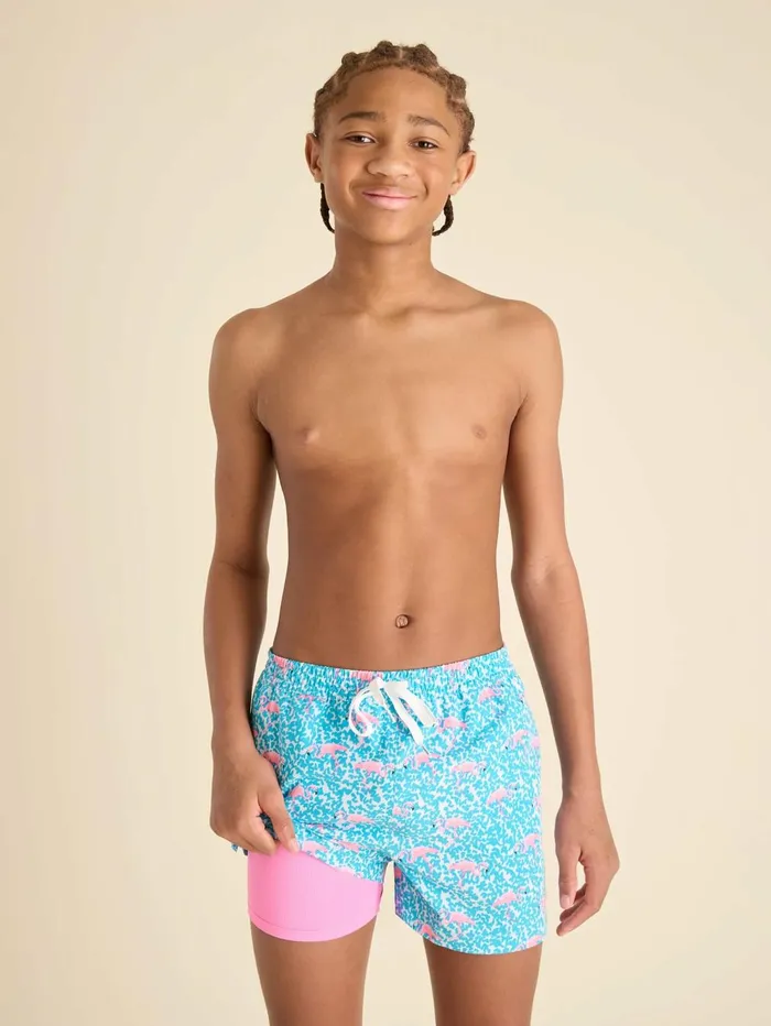 Chubbies Boys XsXl Swim The Domingos Are For Flamingos Blue Spot With Flamingoshot Pink Liner