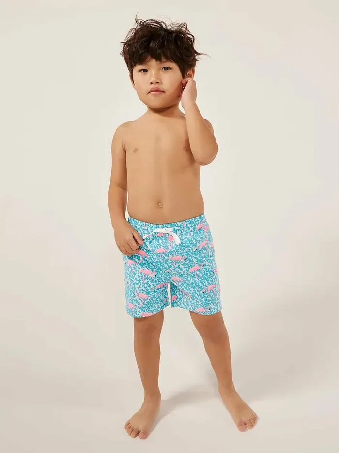Chubbies Toddler 6m6 Swim The Mini Mingos Blue Spot With Flamingos