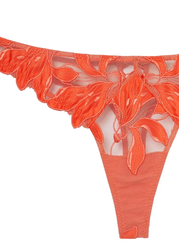 Fleur Du Mal Panties and Garters Women Lily Embroidery Hipster Thong Clementine