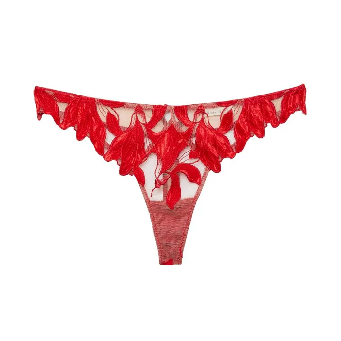 Fleur Du Mal Panties and Garters Women Velvet Lily Embroidery Hipster Thong Rouge Fleur Du Mal Panties and Garters Women Velvet Lily Embroidery Hipster Thong Rouge