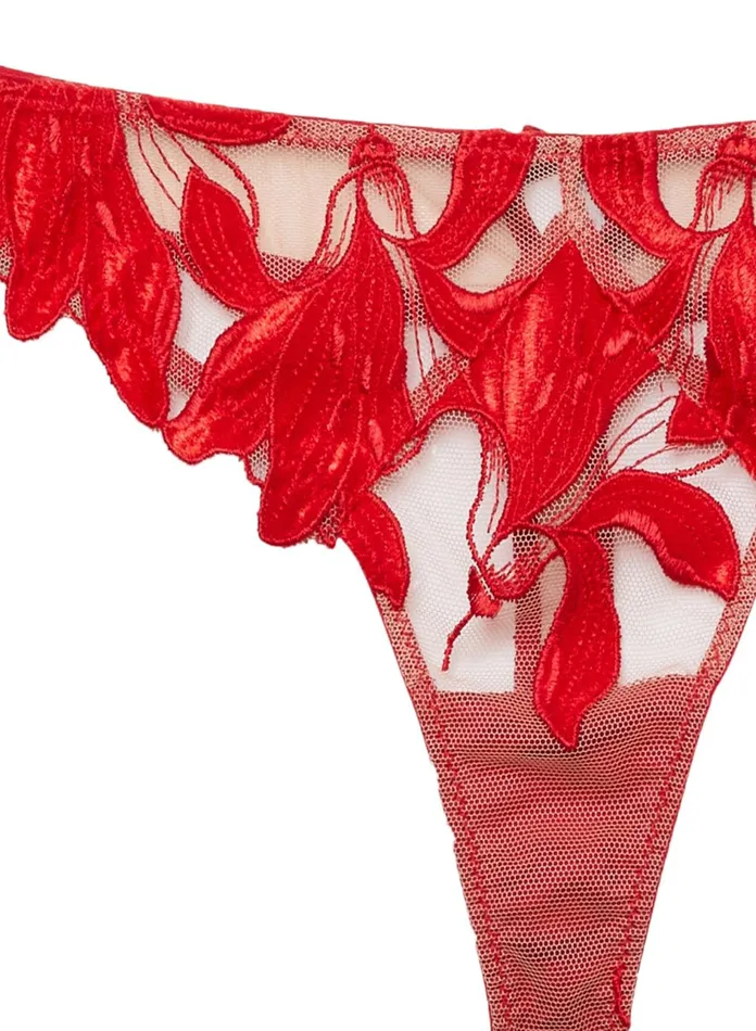 Fleur Du Mal Panties and Garters Women Velvet Lily Embroidery Hipster Thong Rouge Fleur Du Mal Panties and Garters Women Velvet Lily Embroidery Hipster Thong Rouge