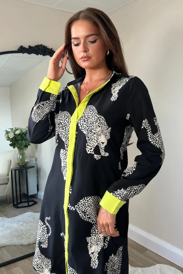Girl In Mind Mini Dresses Alana Cheetah Print Mini Shirt Dress Black 8211 Women