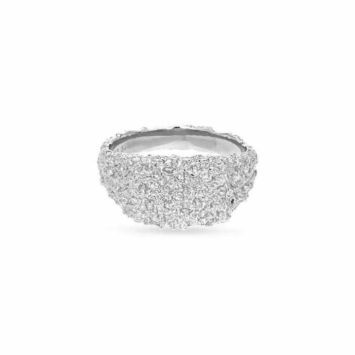 Jane Knig Silver Rings Women Organic Signet Ring