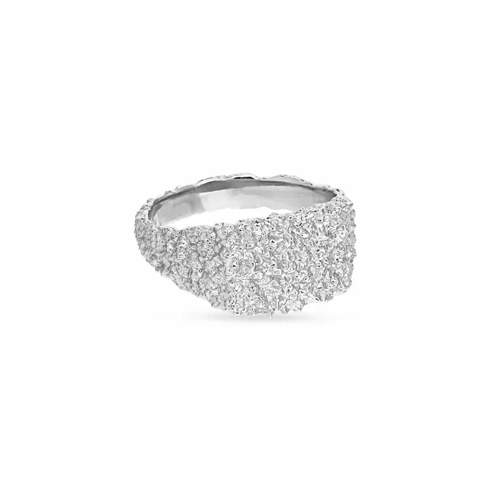 Jane Knig Silver Rings Women Organic Signet Ring