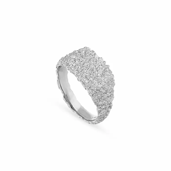 Jane Knig Silver Rings Women Organic Signet Ring