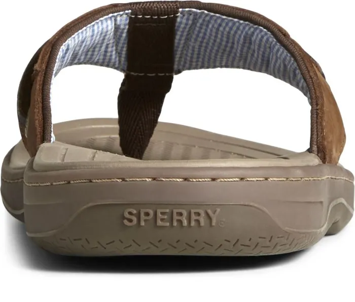 Men Baitfish Leather Flip Flop Brown Buc Brown Sperry Sandals Men Baitfish Leather Flip Flop Brown Buc Brown Sperry Sandals