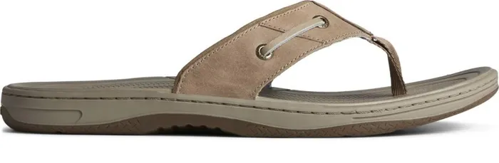 Men Baitfish Leather Flip Flop Taupe Sperry Sandals