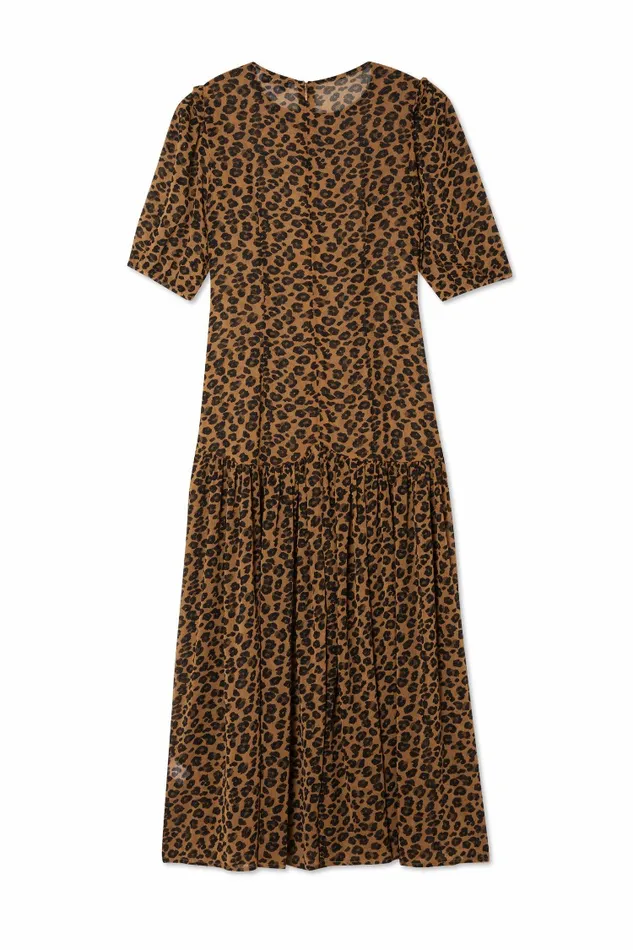 Never Fully Dressed Newness Leopard Lucia Dress 8211 Women