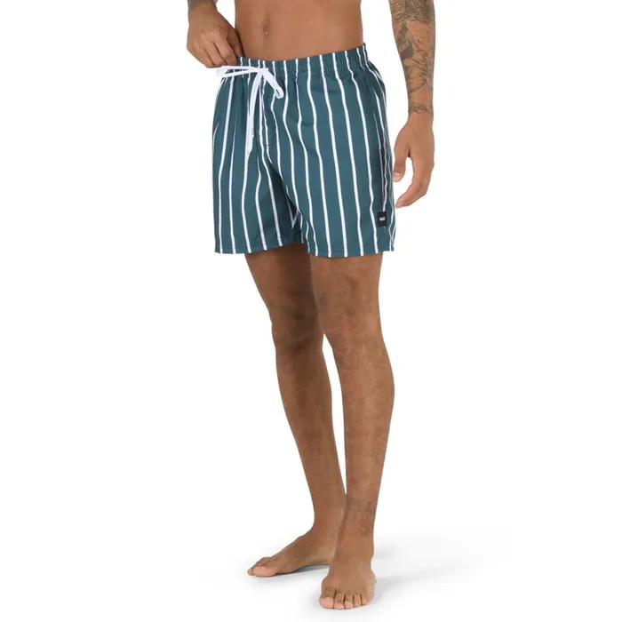 Shorts and Boardshorts Men Vans Mixed 16034 Volley Stargazer Stripe