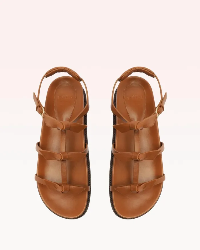 Slim Lolita Sport Sandal Espresso 8211 Luxury Comfortable Sandals Espresso Women Alexandre Birman Flats