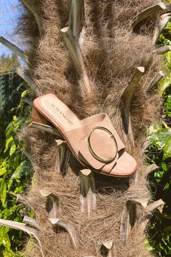 Sosandar Maddison Taupe Suede Mule Sandal With Gold Buckle Detail Women Sandals and Flip Flops