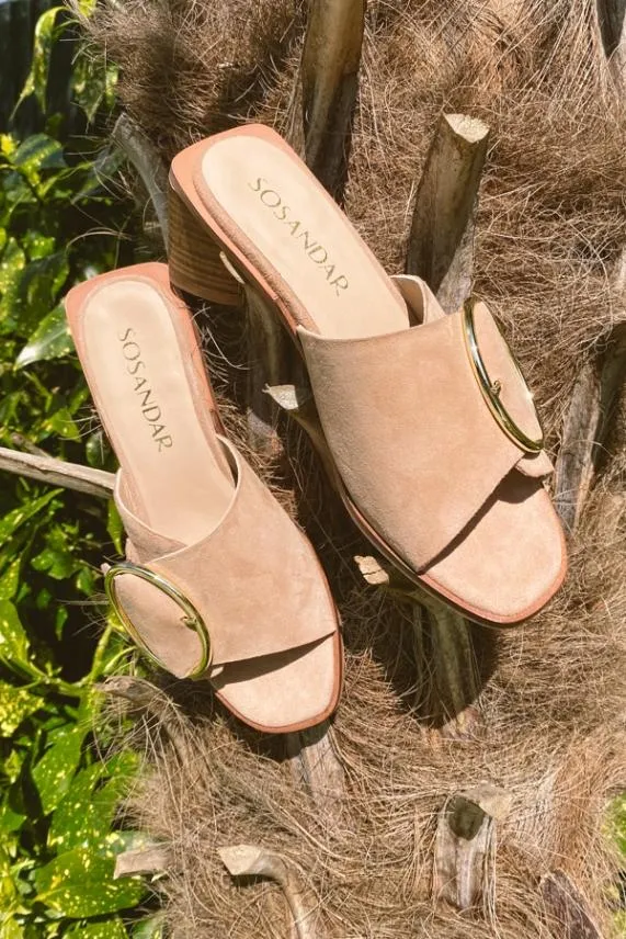 Sosandar Maddison Taupe Suede Mule Sandal With Gold Buckle Detail Women Sandals and Flip Flops