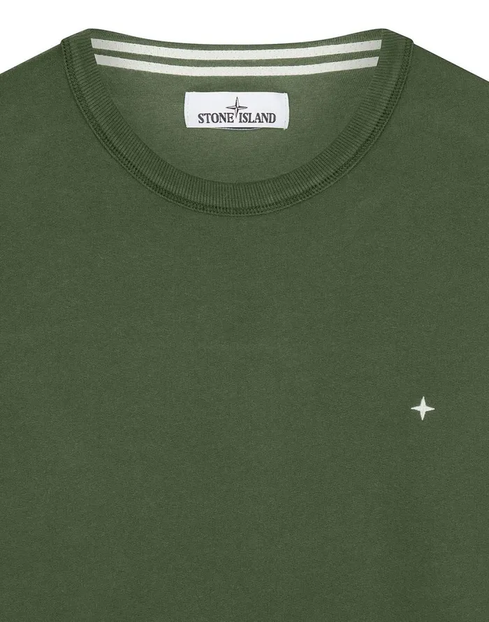 Stone Island Sweatshirts 60820 Crewneck Sweatshirt In Dark Forest 8211 Mens