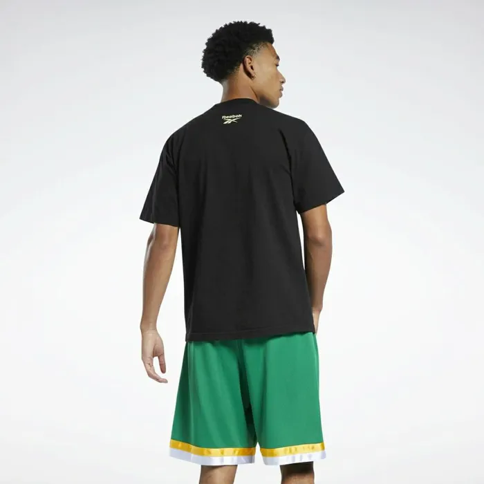 TShirts and Graphic Tees Mens Reebok Allen Iverson Hot Color TShirt Multi