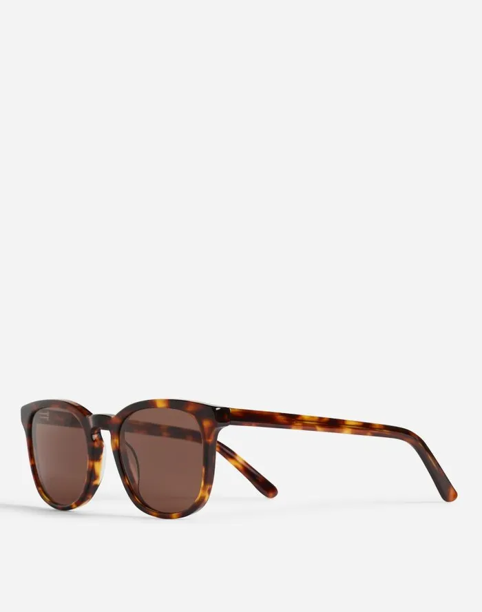 Women Ashcroft Sunglasses Whisky Tort Madewell Sunglasses
