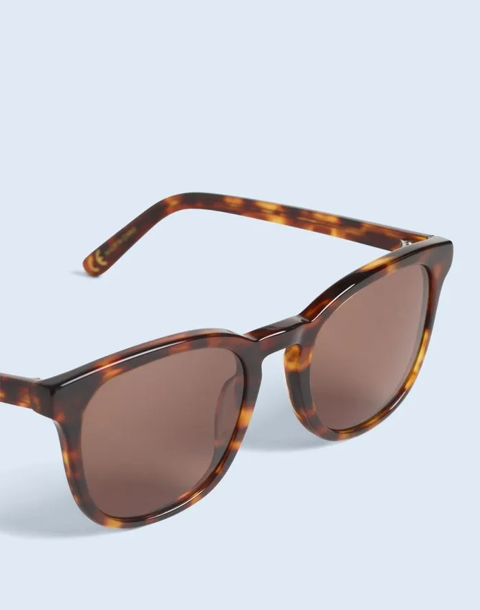 Women Ashcroft Sunglasses Whisky Tort Madewell Sunglasses