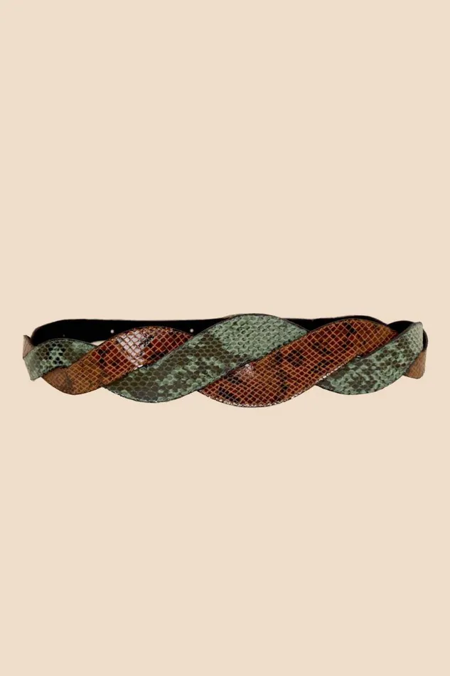 Women Belts RIXO Preesha Brown And Green