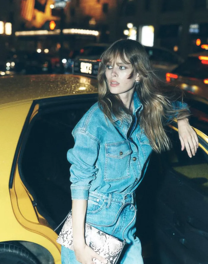 Women Denim LongSleeve ButtonUp Shirt Blissfield Wash Madewell Tops and Shirts