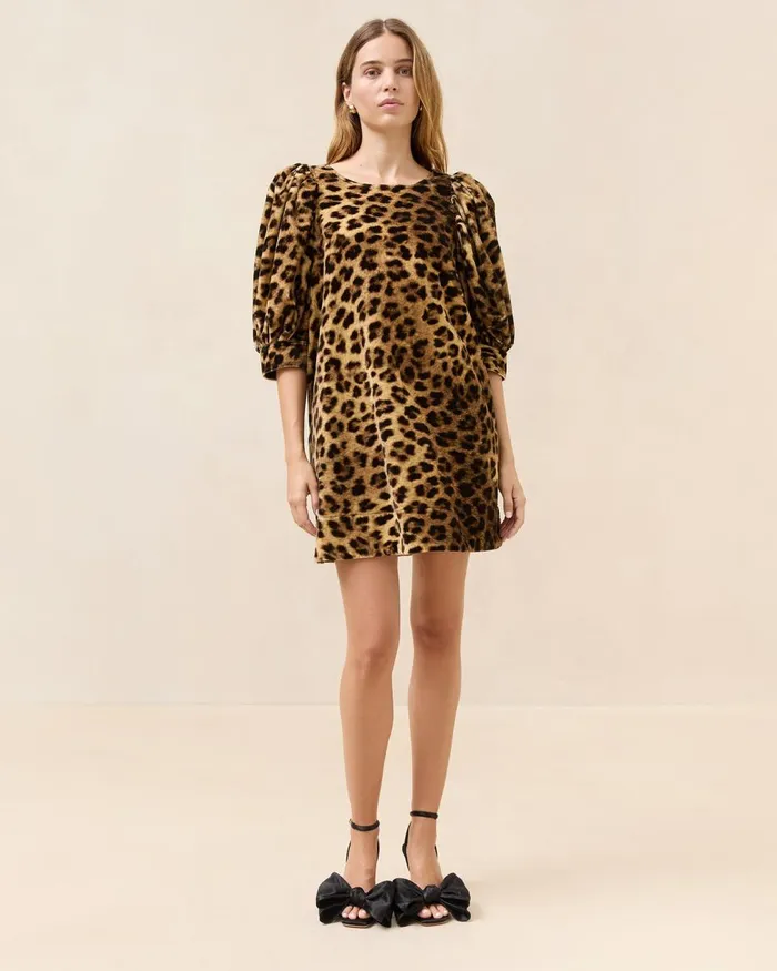 Women Dresses Loeffler Randall Willy Leopard Velvet Mini Dress
