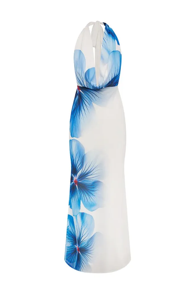 Women Maxi Dresses Runaway The Label JASMINA MAXI DRESS Blue Flower