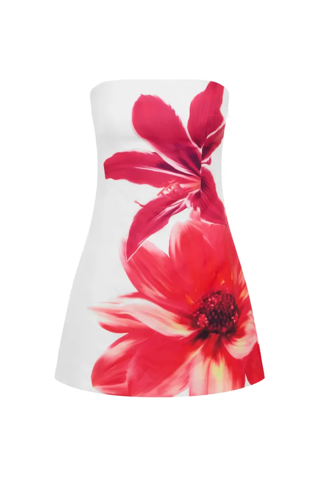 Women Mini Dresses Runaway The Label PRIMROSE MINI DRESS Tropical Flower