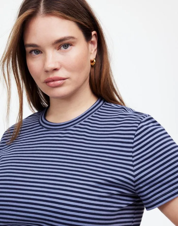 Women Plus Cotton Perfect Crewneck Tee Teapot Blue Madewell Tees