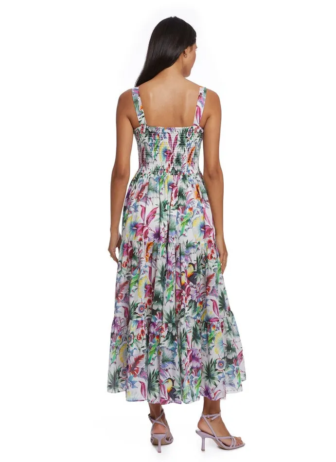 Women Robert Graham Dresses SOPHIE DRESS MULTI